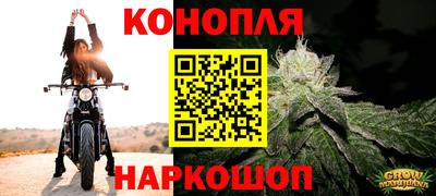ешки Гай