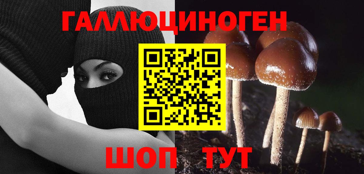 Псилоцибиновые грибы GOLDEN TEACHER Трёхгорный
