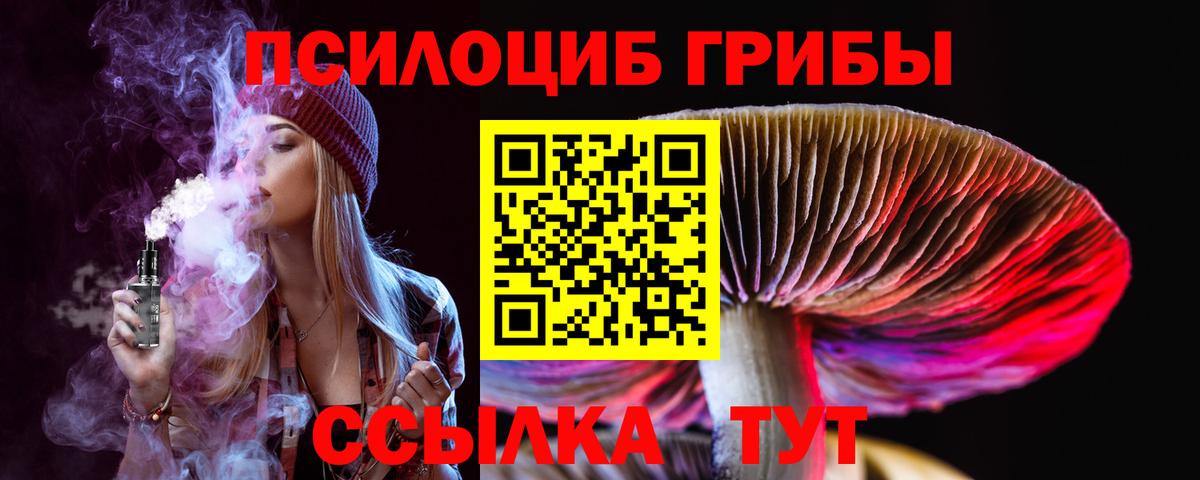 Псилоцибиновые грибы MAGIC MUSHROOMS  Вход с VPN  как найти закладки  Трёхгорный 